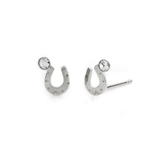 Kids horseshoe crystal earrings in silver